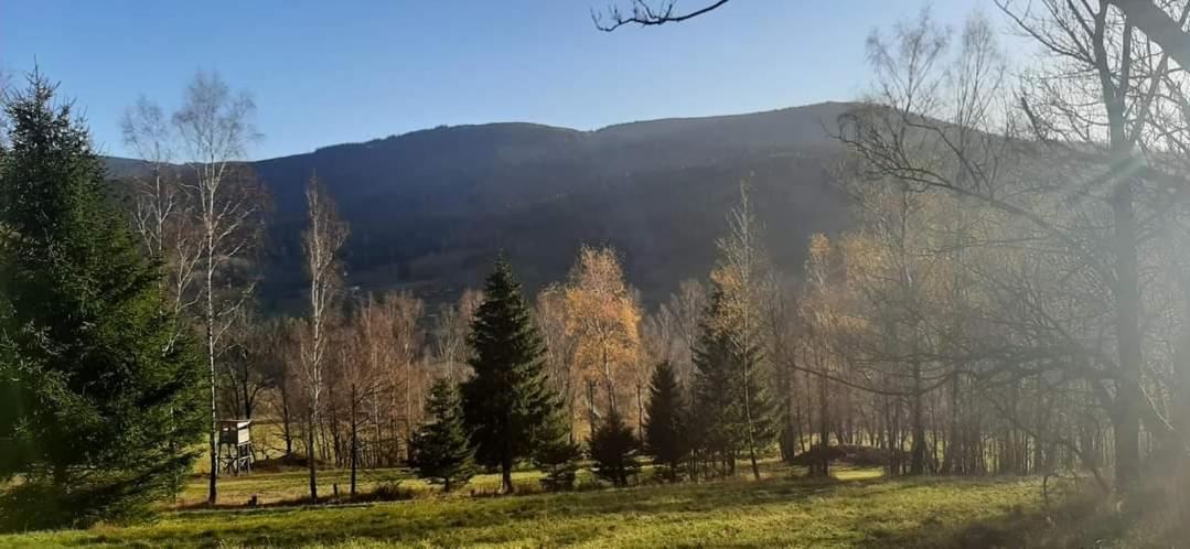 Apartament Zakatek Pod Lipka Stary Gieraltow Zewnętrze zdjęcie